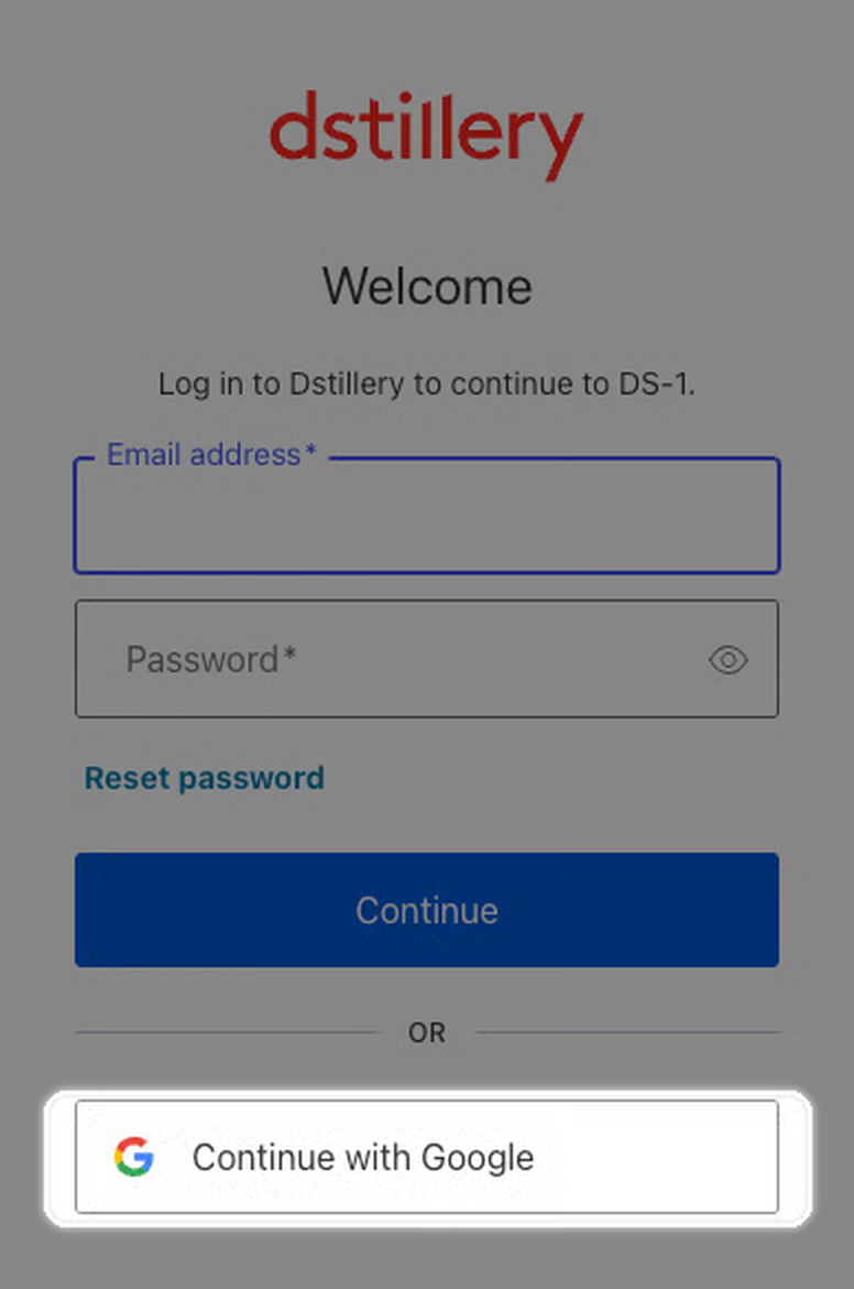 The DS-1 sign-in screen with Continue with Google highlighted.